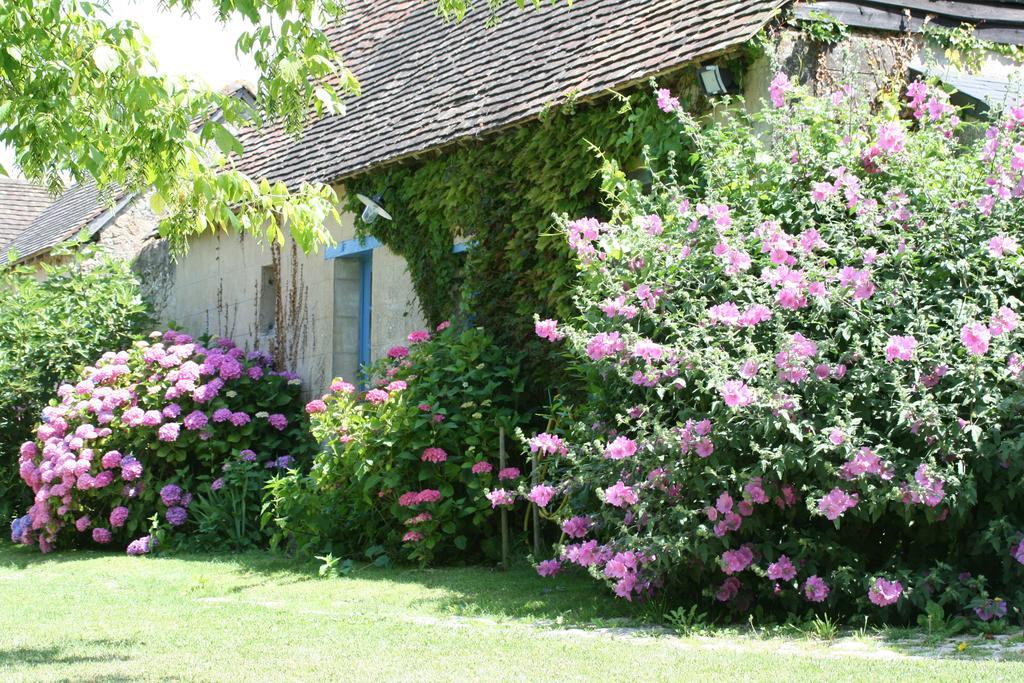 Le Vivier Hotell Challes Rum bild